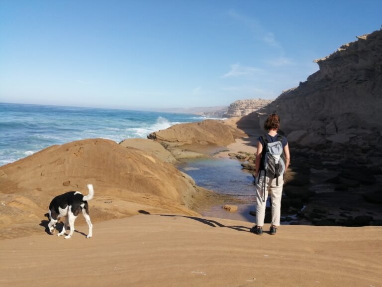 Exclusive Coastal Walk to the Timlalin Dunes – experience in Tamri, Morocco