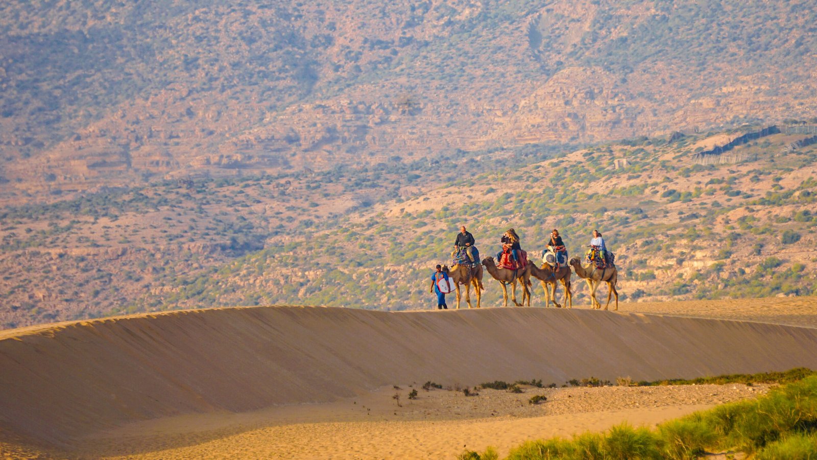 Camel Ride